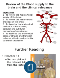 28 - Blood supply to the Brain