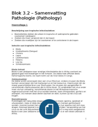 Samenvatting Pathologie blok 3.2