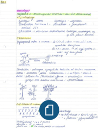 Samenvatting Neurologie (deel 1: cursus neuroanatomie) met tekeningen