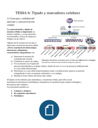 Resumen tema 6 biotecnología celular