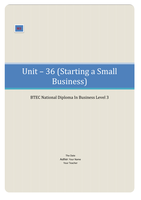 BTEC Business Unit 36, Starting a Small Business M2 (Analyse the personal development needed to run the business successfully)
