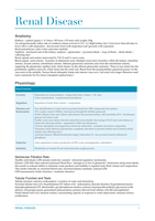 Latest Preview Thumbnail