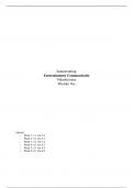Samenvatting -  Entertainmentcommunicatie &lpar;77521504AY&rpar;