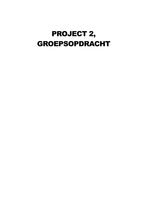 Project 2. Groepsopdracht blok 2