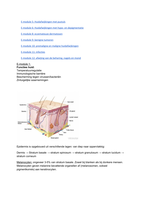 Samenvatting dermatologie E modules