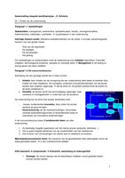 Samenvatting Integrale bedrijfsanalyse - H Schilstra (CBA)