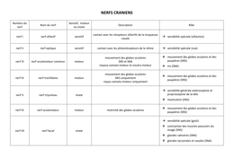 Latest Preview Thumbnail