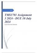TMS3701 Assignment 3 2024 - DUE 10 July 2024