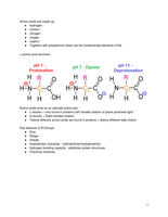 Basic Biochemistry Notes