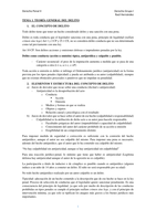 Derecho Peal Manual Resumen II