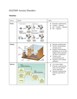 Overzicht modellen/onderzoeken/schema's blok Angststoornissen (GGZ2005)
