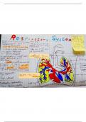 Respiratory System&lowbar;high quality hand written notes
