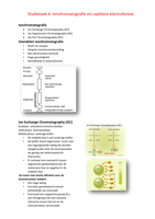 Studietaak 6: Ionchromatografie en capillaire electroforese