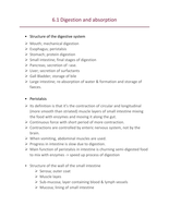 Section 6.1 Digestion and Absorption