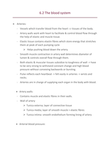 Section 6.2 Blood system