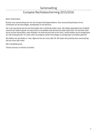 Samenvatting &plus; Werkgroepen ERB