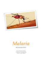 Werkstuk Malaria UITGEBREID   Fysiologie en Anatomie Cijfer: 9,5 