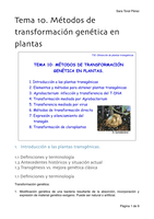 Tema 10A. Métodos de transformación genética en plantas