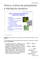 Tema 9. Cultivo de protoplastos e hibridación somática