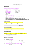 Oxidative Phosphorylation Notes