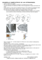 Anatomia, desarrollo embriologico de las extremidades
