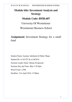 Investment Analysis and Strategy Coursework - Investment Strategy for a small fund (grade 68)