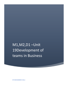 Unit 19 - Development of teams in Business - M1,M2,D1 - DIstinction achieved