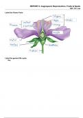 Lab&plus;Report&plus;6 BIO 2 