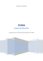 Integrale bedrijfsanalyse PUMA