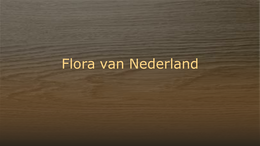 Flora van Nederland