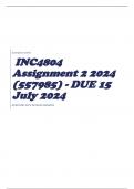 INC4804 Assignment 2 2024 &lpar;557985&rpar; - DUE 15 July 2024