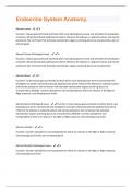 Endocrine System Bundle 2024 Update with complete solutions