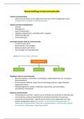 Informatie bundelen &vert; Aantekeningen & samenvatting crisiscommunicatie - leerjaar 1