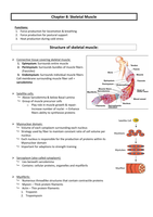  Exercise Physiology - SKELETAL MUSCLE NOTES