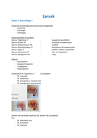 Spraak