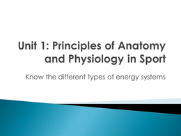 BTEC year 12 principles of anatomy work 