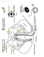Neuroanatomy notes part 3