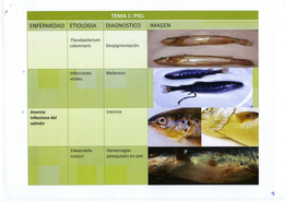 Pathology of fish