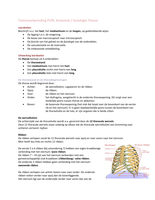 Toetsvoorbereiding TLP 6 Toets Anatomie & Fysiologie Thorax