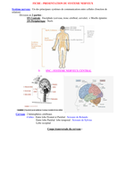 FICHE 18 - Présentation du système nerveux.