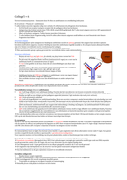 Immunologie samenvatting college 5/6 (Antilichamen & ontwikkeling T/B cellen)