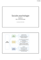 Sociale psychologie (Eliot R. Smith en Diane M. Mackie): Gratis schematische samenvatting hoofdstuk 1