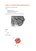 Latest Preview Thumbnail