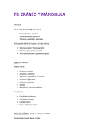 Latest Preview Thumbnail