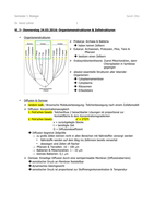 VL1_Organismenstrukturen & Zellstrukturen
