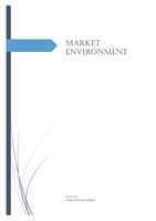Samenvatting Market Environment