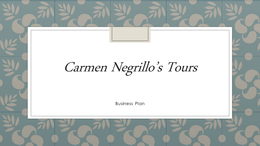 Carmen Negrillo’s Tours