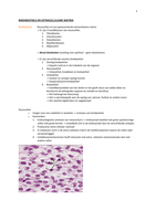 ZSO 8 - Bindweefsel en extracellulaire matrix