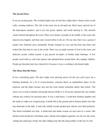 Point of View Essay