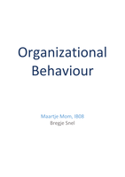 Summary "organizational behavior" 